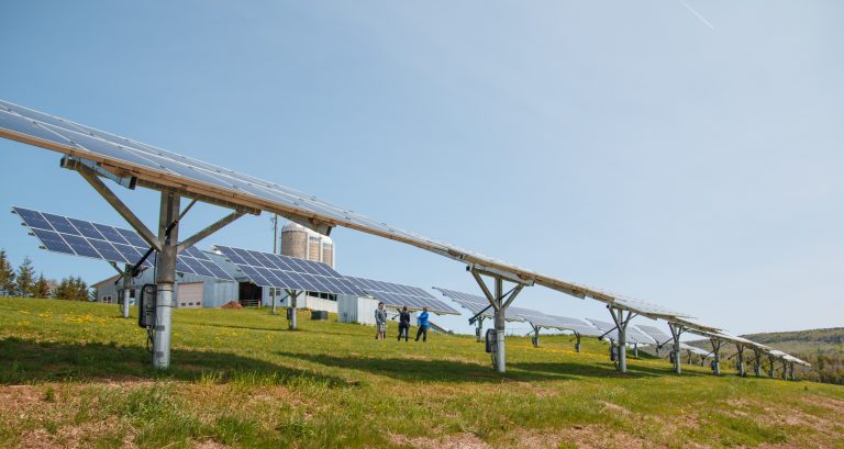 EcoTour2019 solar farm 2 Liane 768x409