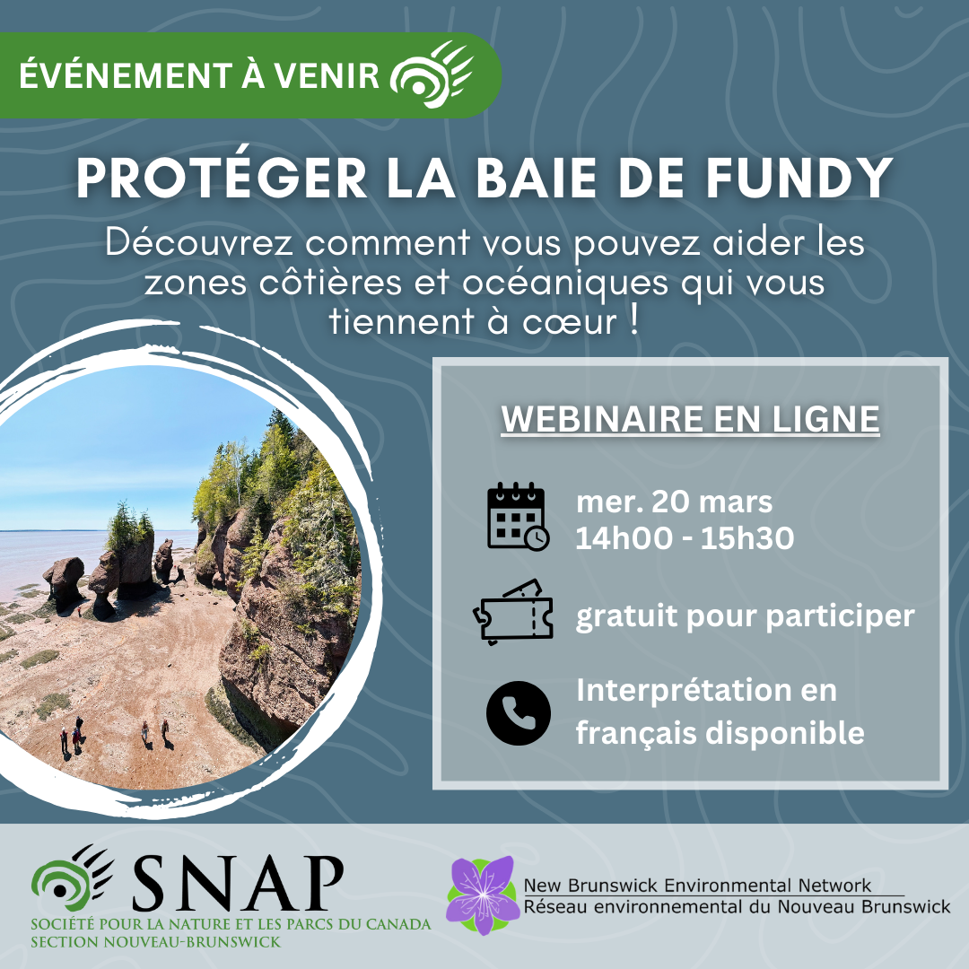 French graphic 1
