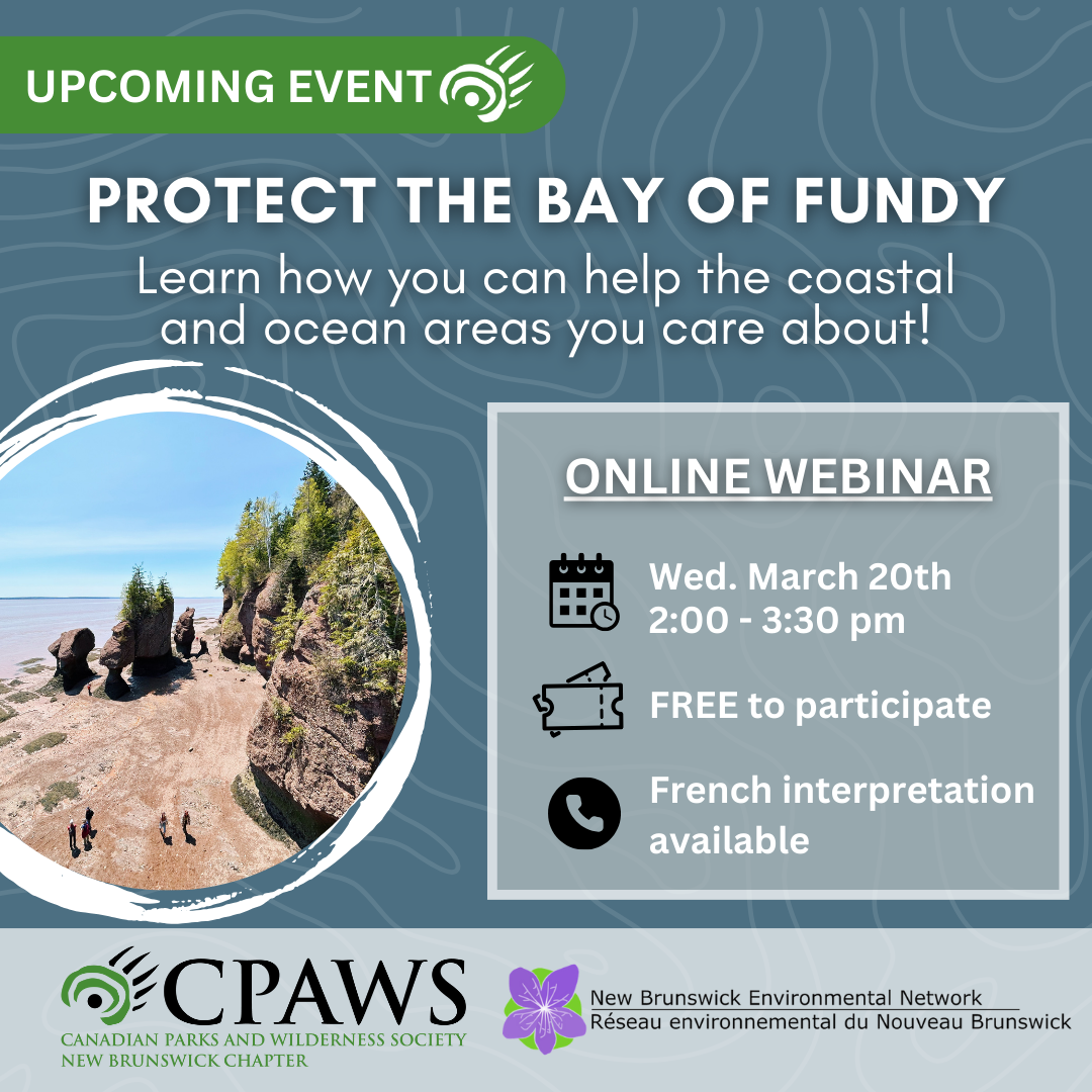 Marine webinar social media