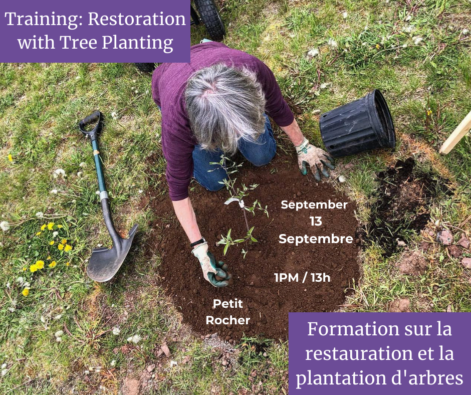 Belle Baie Restoration with Tree Planting Training