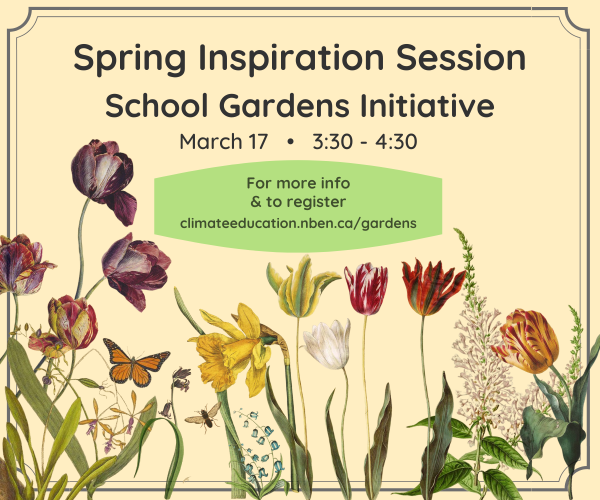 Spring Inspo Session EN