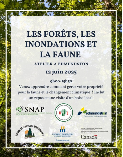 forets