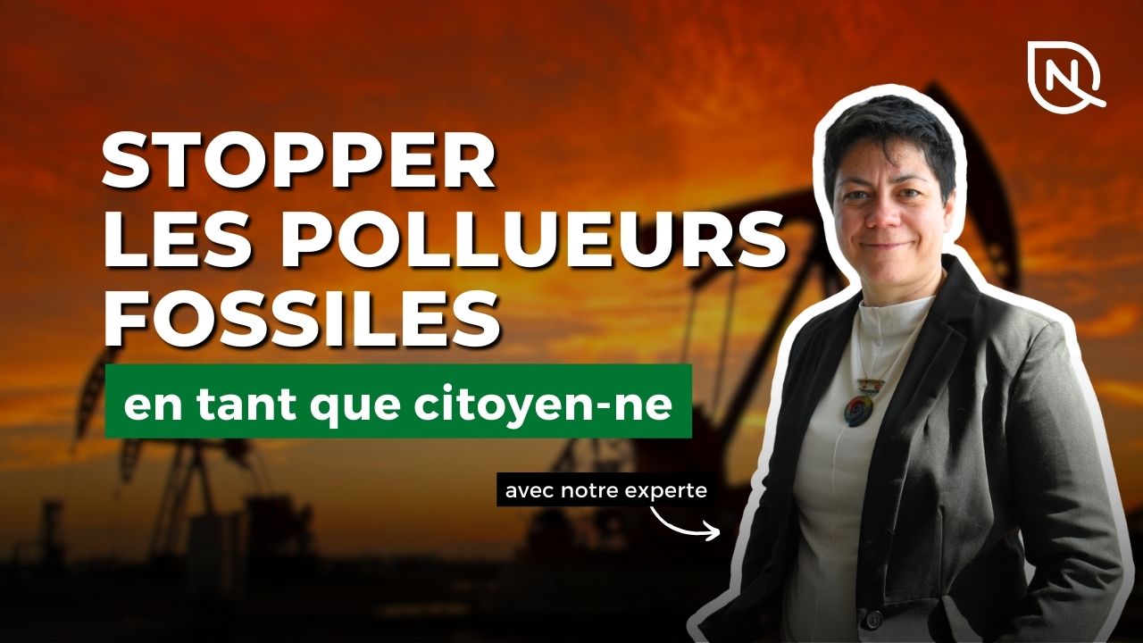 Webinaire - Stopper l’impunité des pollueurs fossiles, en tant que citoyen ou citoyenne
