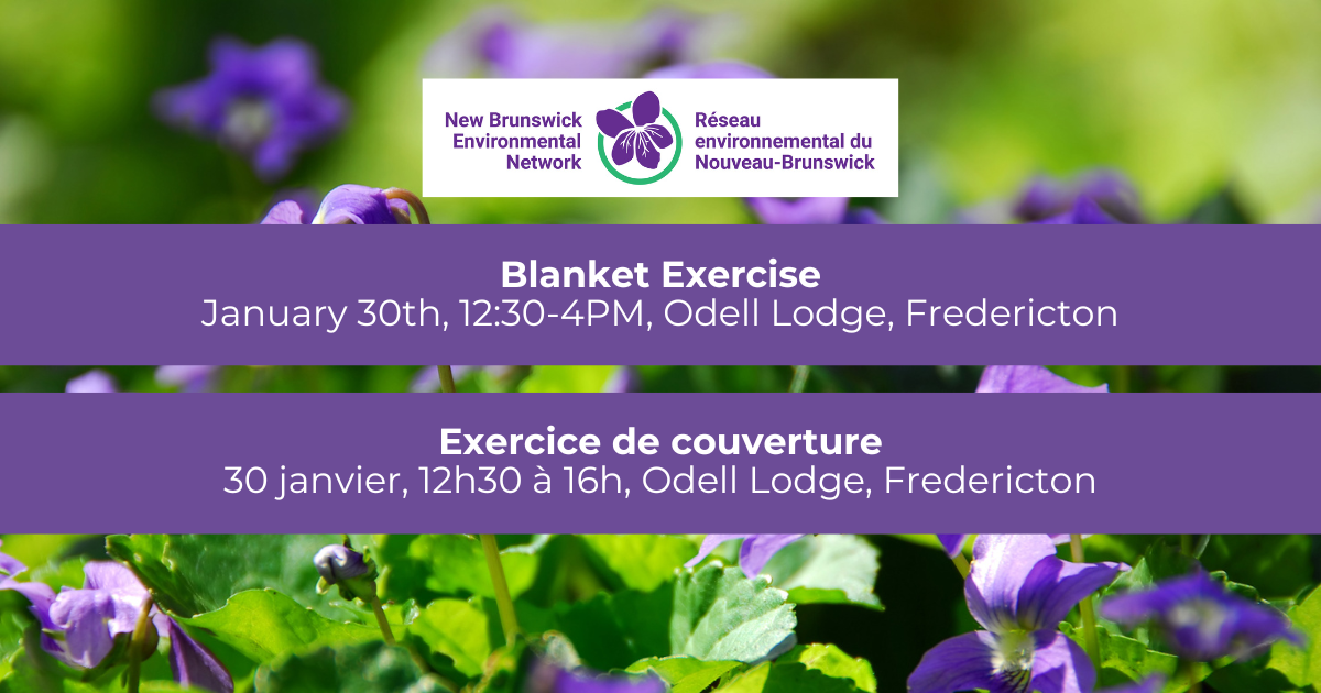 Blanket Exercise