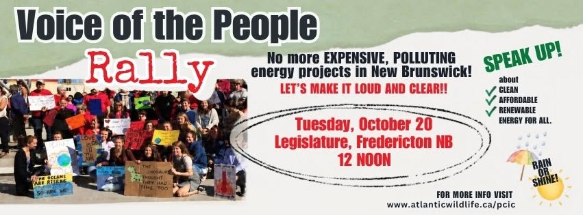 Voice of the people Rally