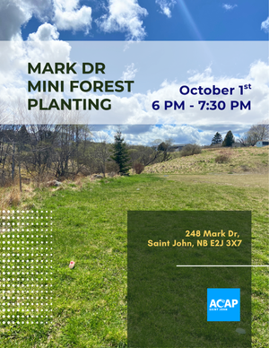 Mark Dr Mini Forest Planting