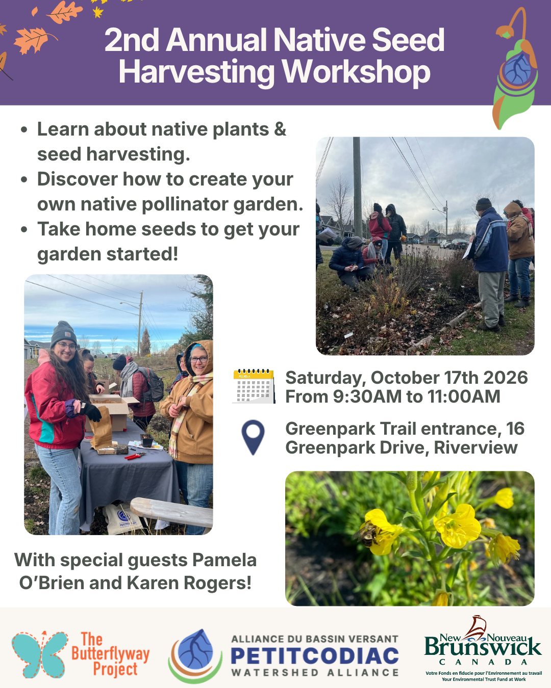 Native Seed Harvesting Workshop 2026