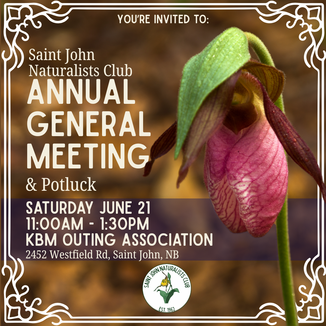 Saint John Naturalists Club: Annual General Meeting &amp; Potluck