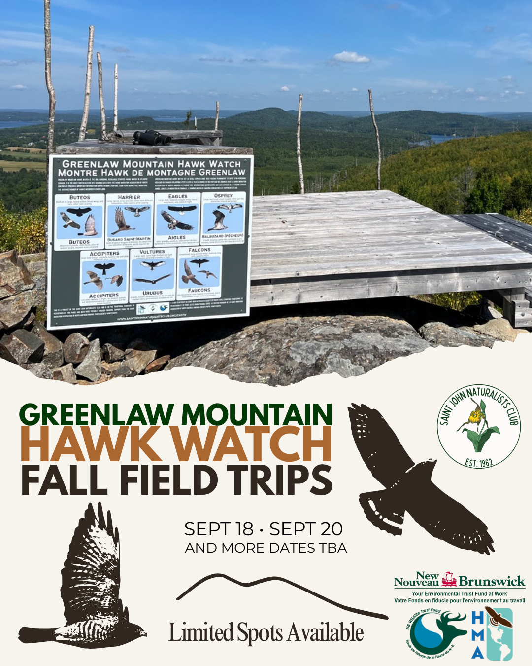 Greenlaw Mountain Hawk Watch Field Trip