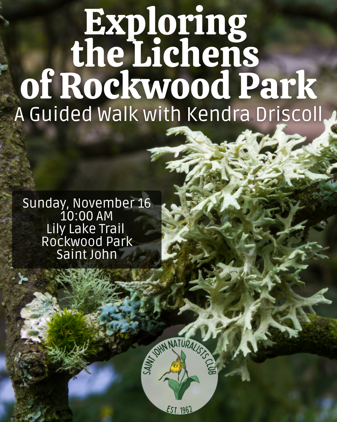 Exploring the Lichens of Rockwood Park with Kendra Driscoll