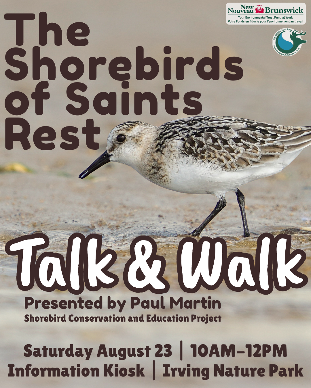Shorebirds of Irving Nature Park: Talk &amp; Walk