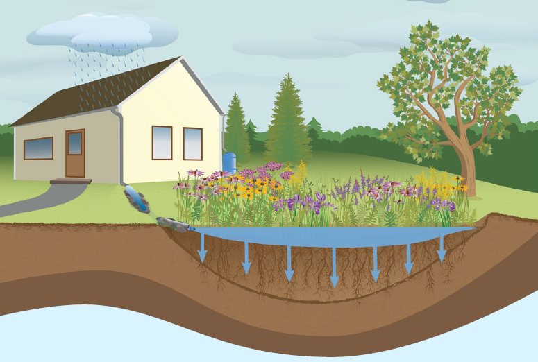 Atelier Jardins Pluviaux - Shediac