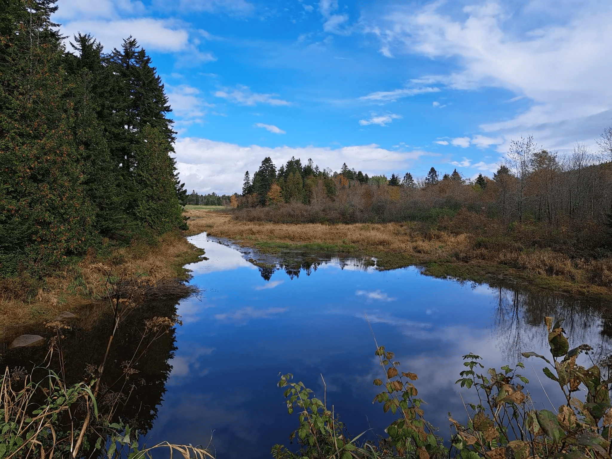 Annual General Meeting and Guided Hike at Sea Dog Cove
