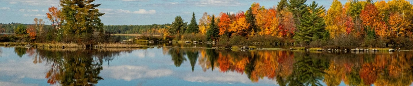 37th Annual Sackville Ducks Unlimited Canada Dinner &amp; Auction