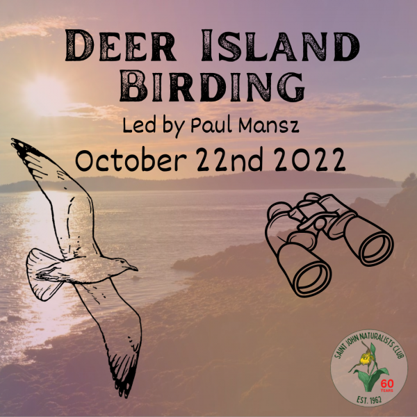 Deer Island Birding with Paul Mansz and the Saint John Naturalists Club