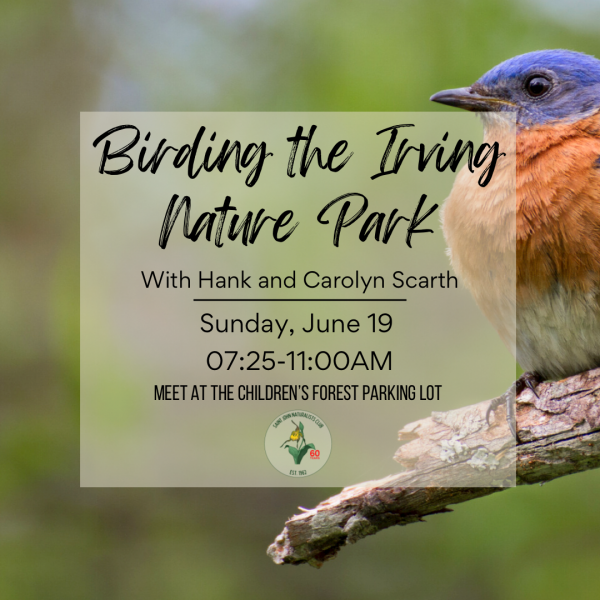 Birding the Irving Nature Park with Hank and Carolyn Scarth
