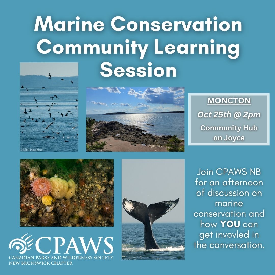 Marine Conservation Community Learning Session - Moncton