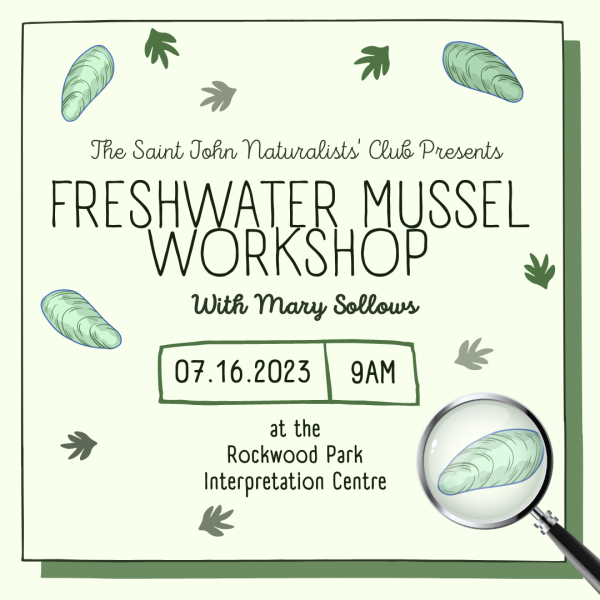 Freshwater Mussel Workshop with Mary Sollows