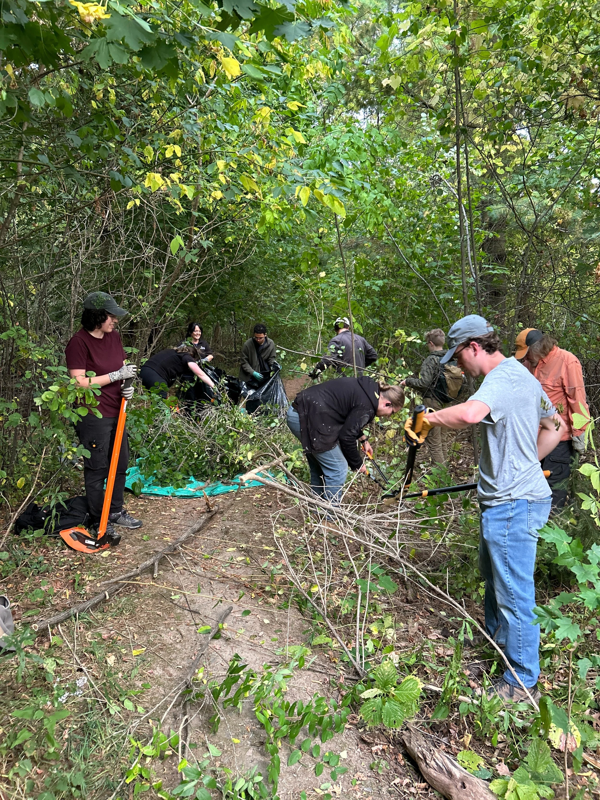 Invasive Species Removal at Hyla Park Nature Preserve