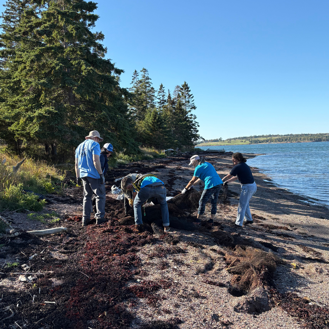 11e Grand nettoyage annuel de la côte de Fundy