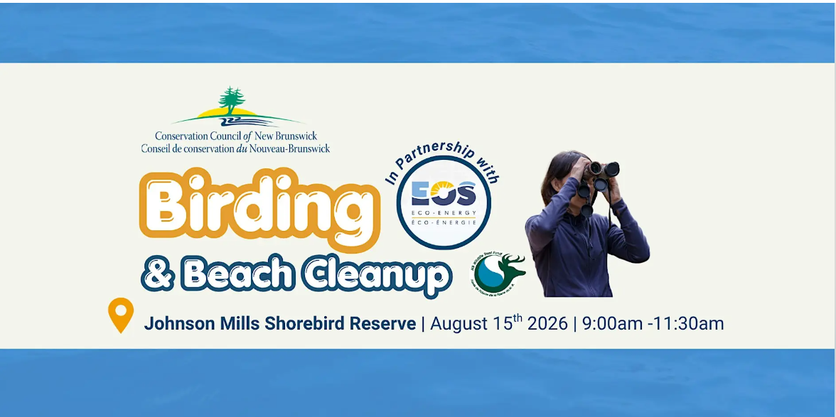 Coastal Connections Beach Clean-Up and Birding Walk - Johnson Mills