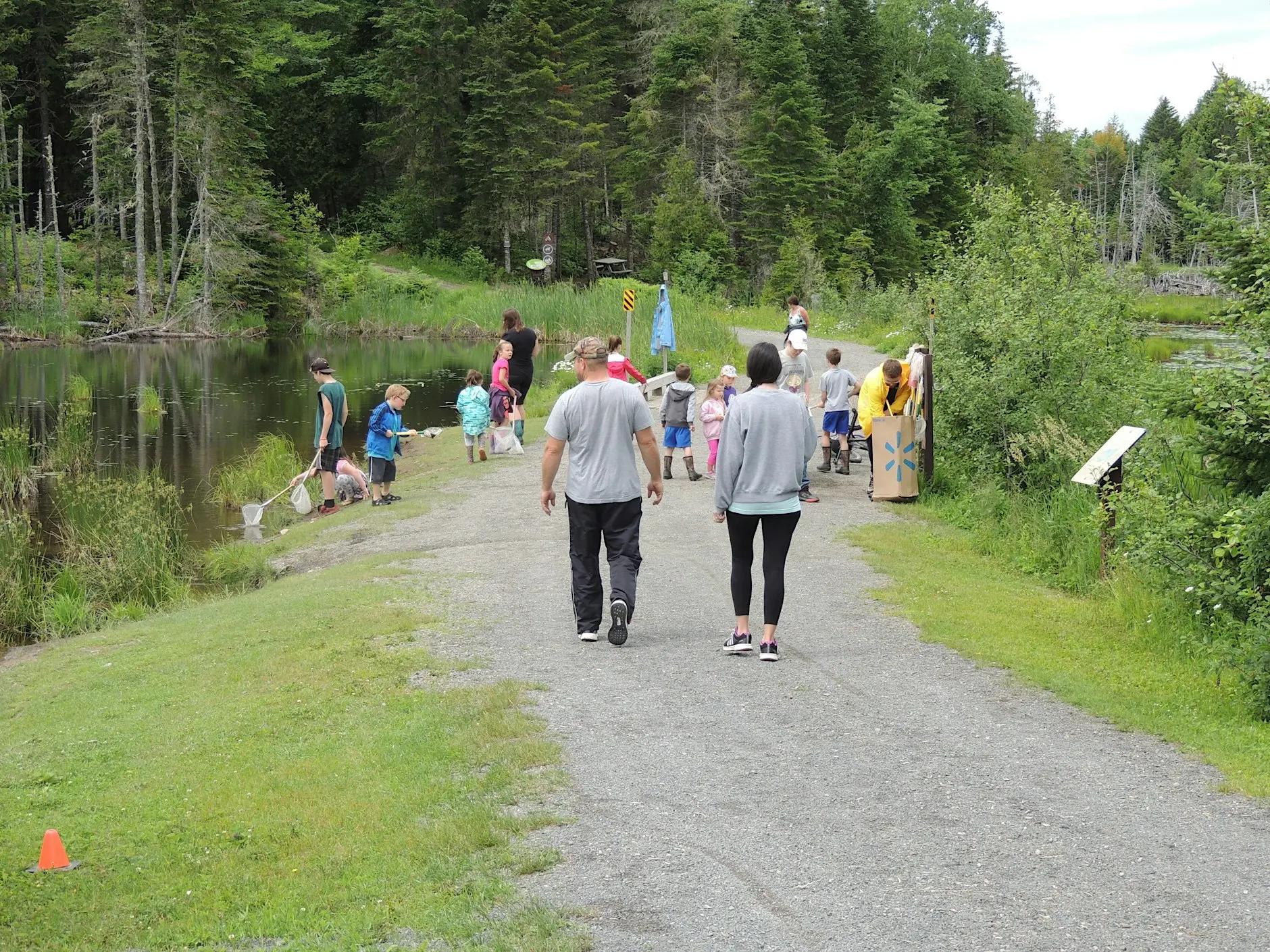 Promenade dans la nature et exploration des petites créatures aquatiques au parc provincial de Mactaquac