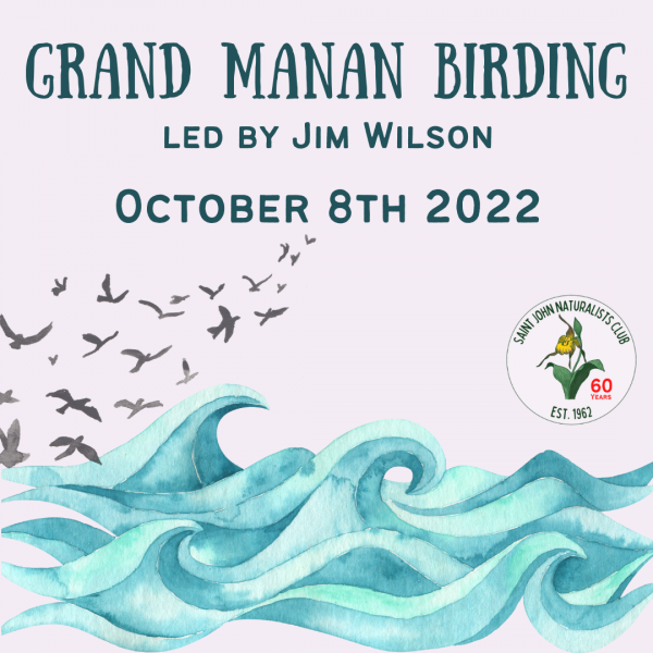 Grand Manan Birding with Jim Wilson and the Saint John Naturalists Club