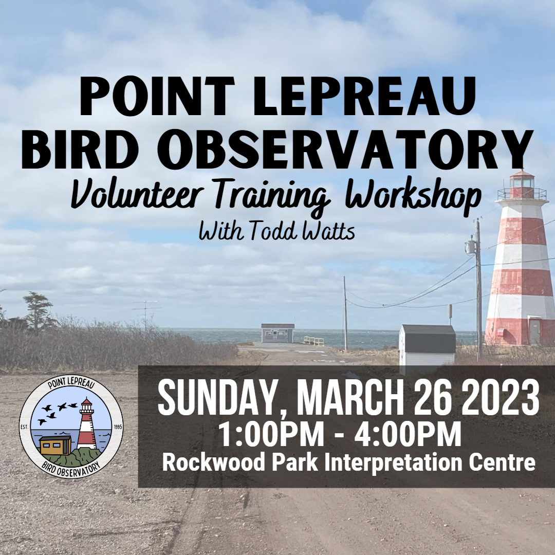 Point Lepreau Bird Observatory - Volunteer Training Workshop with Todd Watts