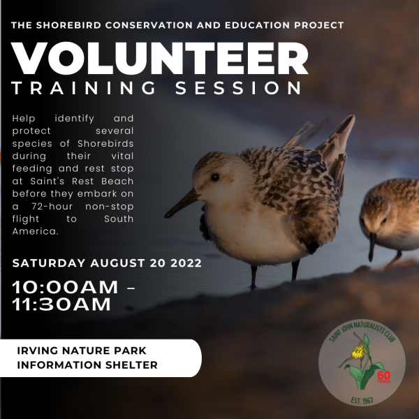 Volunteer Training Session for the Shorebird Conservation and Education Project