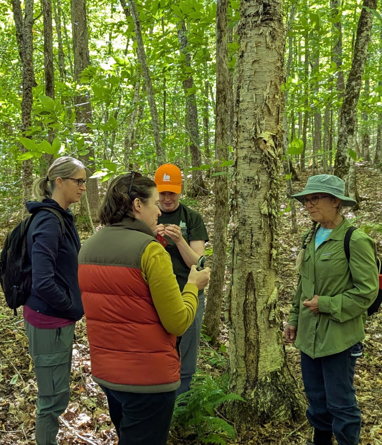 Forested Wetlands Workshop in Campbellton