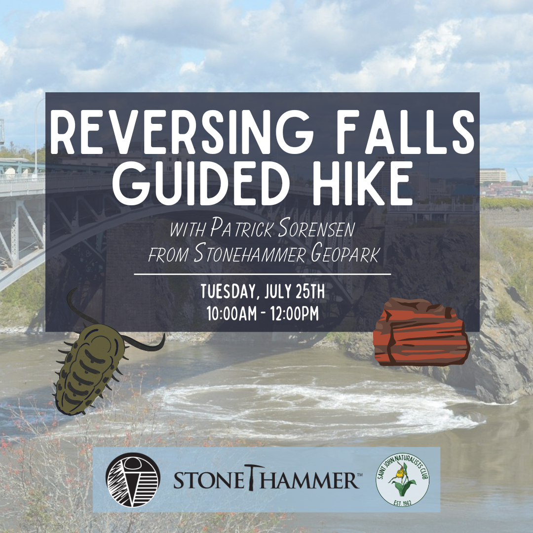Reversing Falls Guided Hike with Patrick Sorensen of Stonehammer Geopark