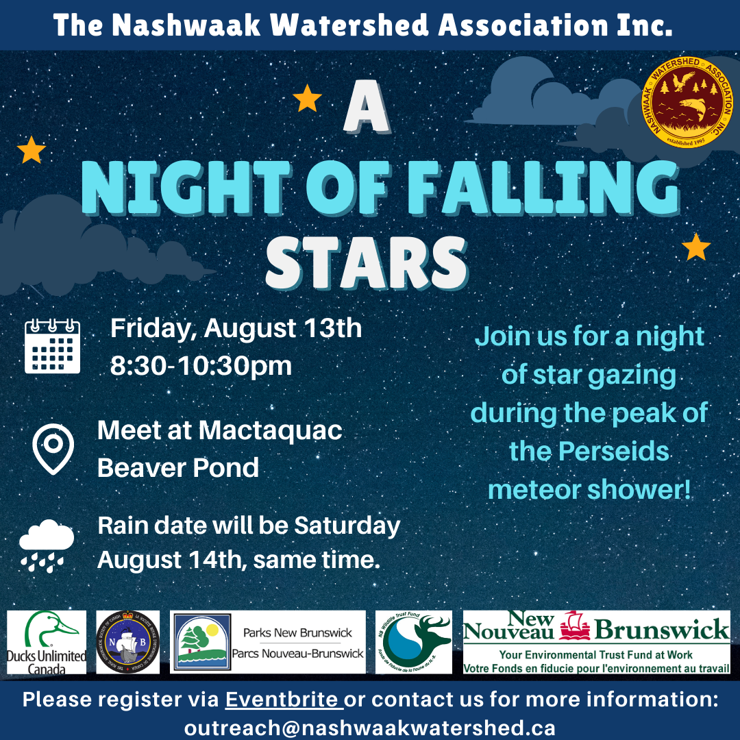 A night of falling stars