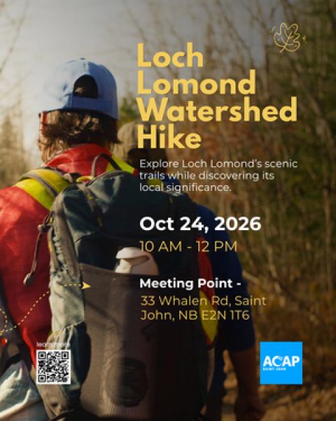 Loch Lomond Watershed Hike