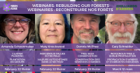 Promouvoir la biodiversité : Conservation des semences d'arbres pour la restauration