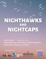 Nighthawks and Nightcaps