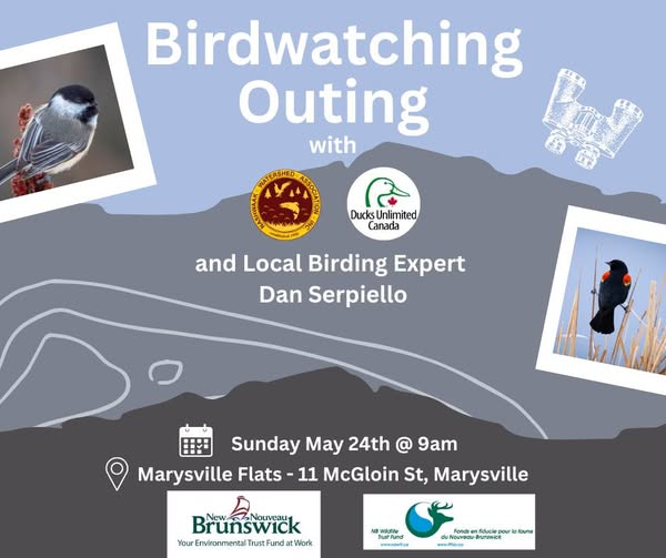 Birdwatching Outing