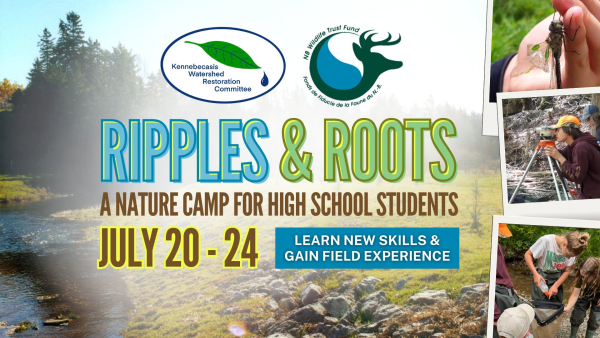 Ripples &amp; Roots Nature Camp