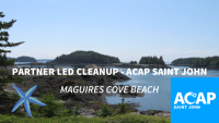 Great Fundy Coastal Cleanup on Maguires Cove Beach