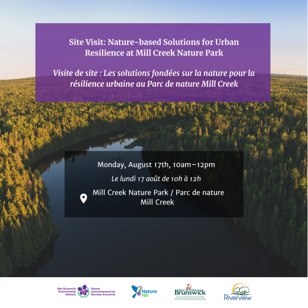 Site Visit: Nature-based Solutions for Urban Resilience at Mill Creek Nature Park