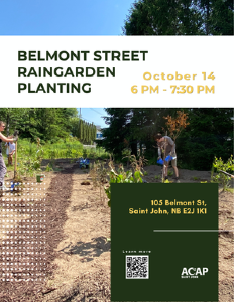 Belmont Street Raingarden Planting