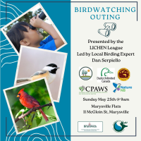 Birdwatching Outing