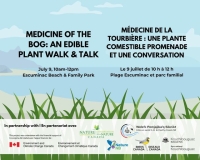 Médecine de la tourbière : Une plante comestible promenade et une conversation