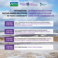 Lunch and Learn Series: The Business Case for Green Infrastructure and Nature-Based Approaches