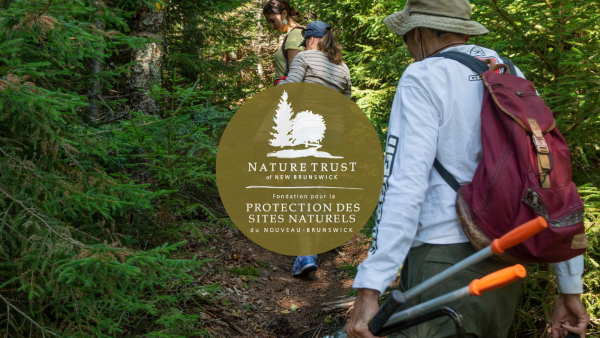 Volunteer Training Day - Boars Head Nature Preserve