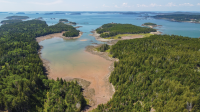 Great Fundy Coastal Cleanup on Frye Island Nature Preserve