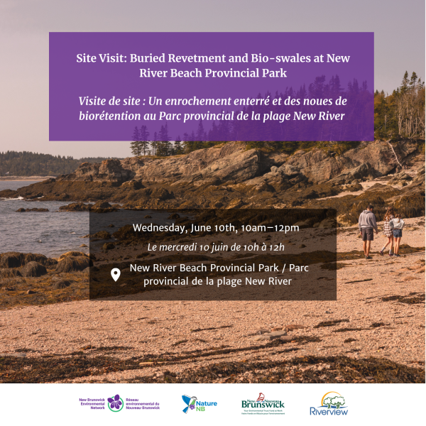 Site Visit: Buried Revetment and Bio-swales at New River Beach Provincial Park