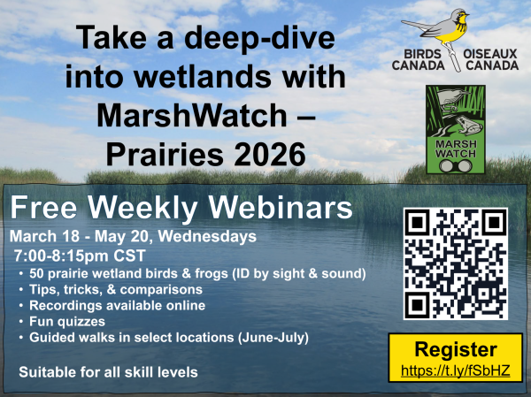 MarshWatch – Prairies 2026 - ID Session 2 &amp; Wetland Plants