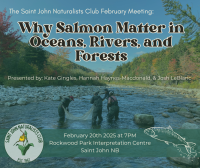 Why Salmon Matter in Oceans, Rivers, and Forests—Nature Saint John February Meeting