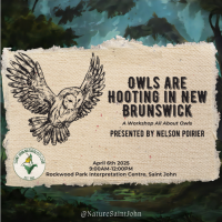 Owls are Hooting in New Brunswick with Nelson Poirier