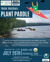 Water Watchers Plant Paddle